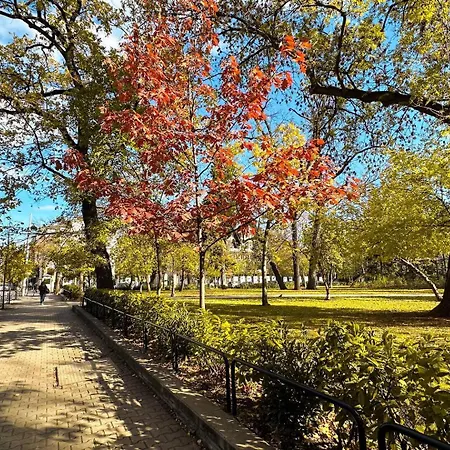 2bdr Luxury On Prime Location Sofía